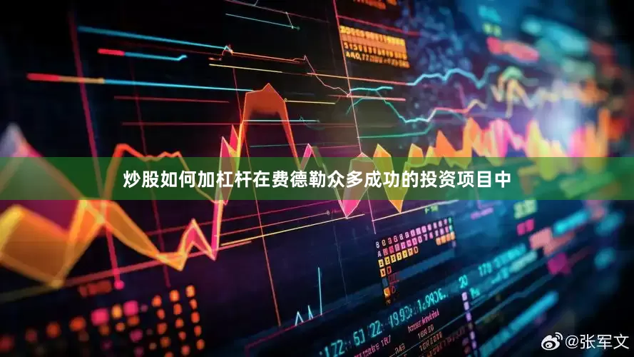 炒股如何加杠杆在费德勒众多成功的投资项目中
