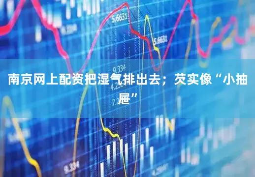 南京网上配资把湿气排出去；芡实像“小抽屉”